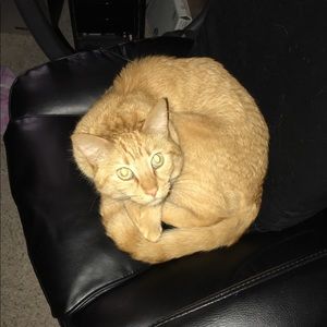 Meet your Posher, Leah